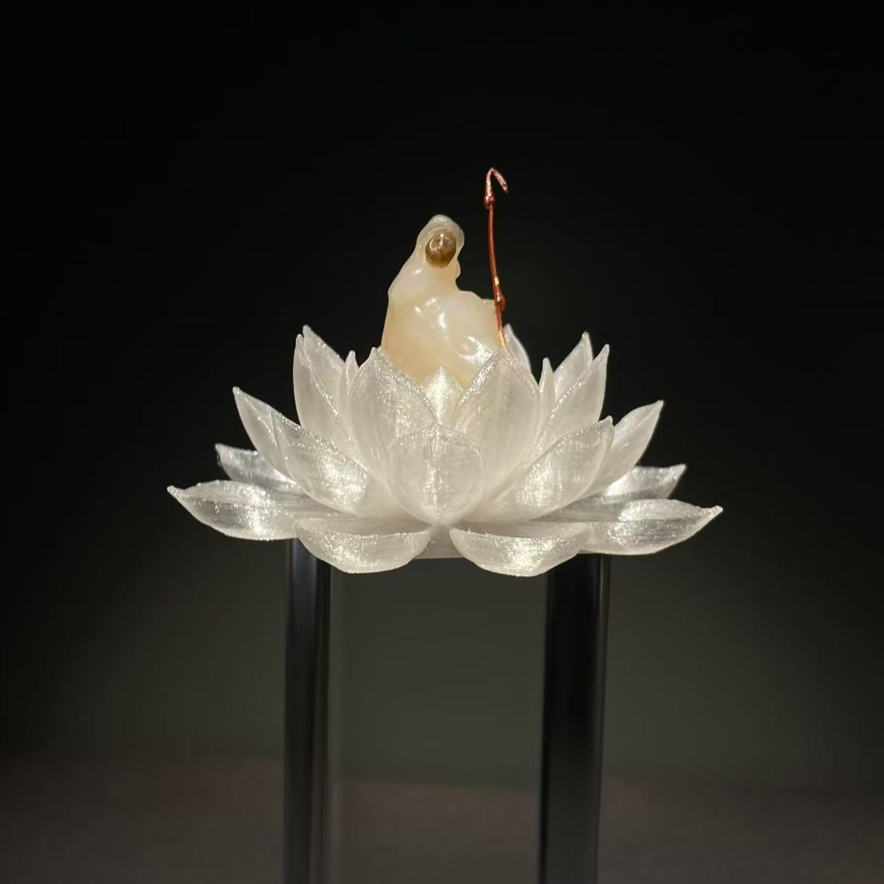 阿拉善天然戈壁奇石 老皮石 观赏石 盆景石 桌面家居摆件