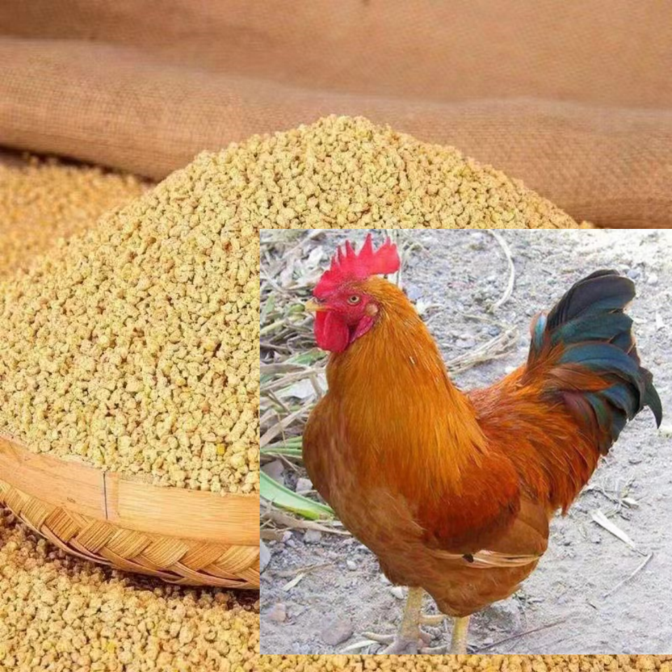 营养均衡好喂养好饲料