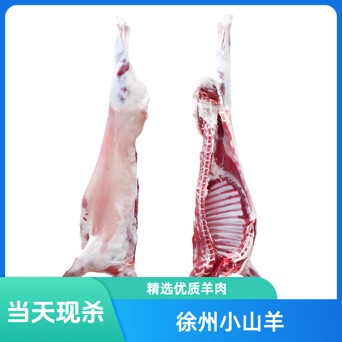 【山羊半羊】活羊现杀、一物一拍、分割不退、坏蛋包赔、顺丰直达、100%腿排KG、整扇