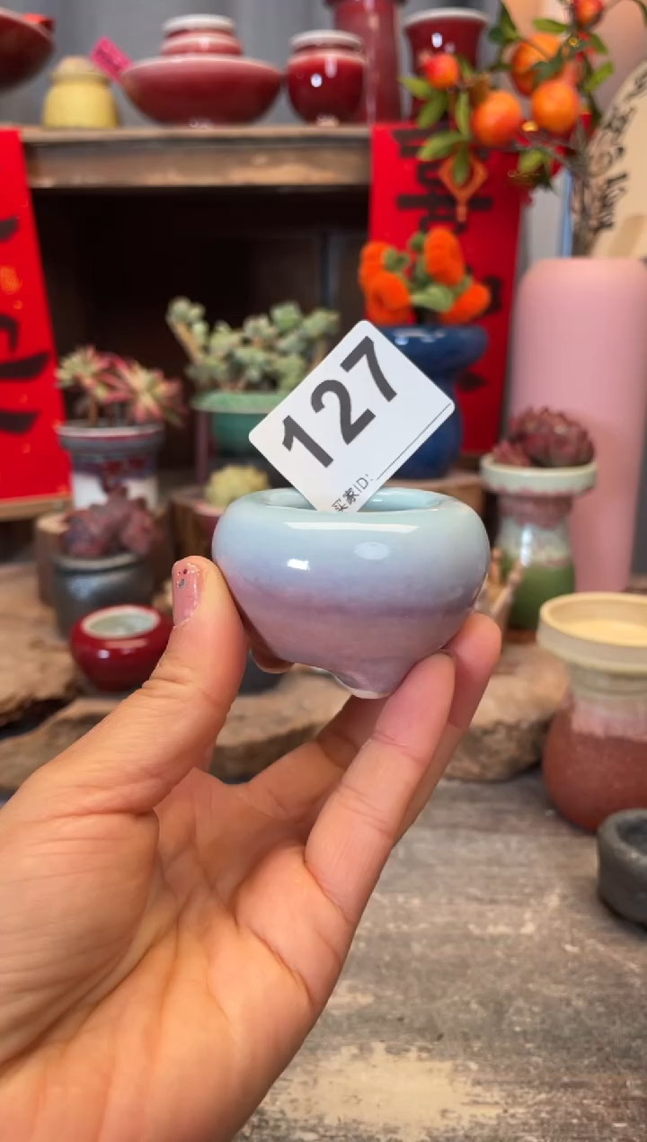 【闪购商品】摆件127知木小芳花盆