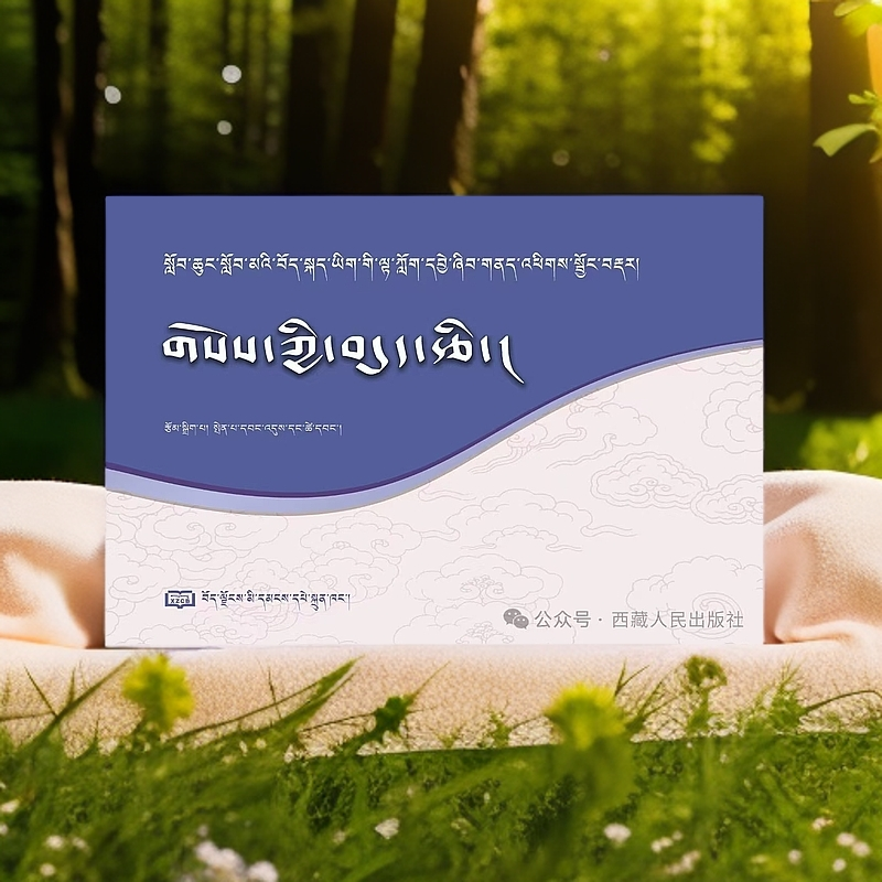 《西藏小学藏语文阅读分析训练》