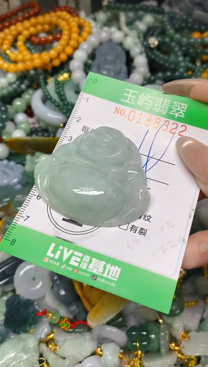 翡翠未镶嵌颈饰闪购0188322