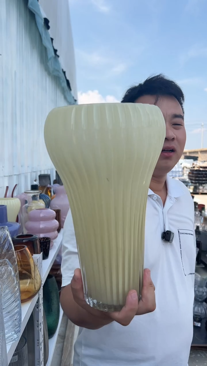  玻璃花瓶用于客厅桌面插花装饰