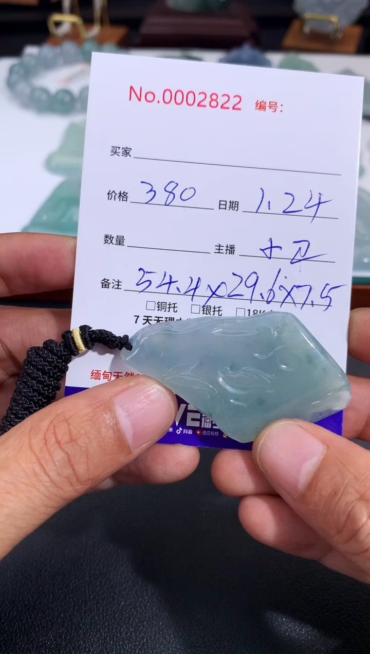 【闪购商品】翡翠颈饰未镶嵌悟道