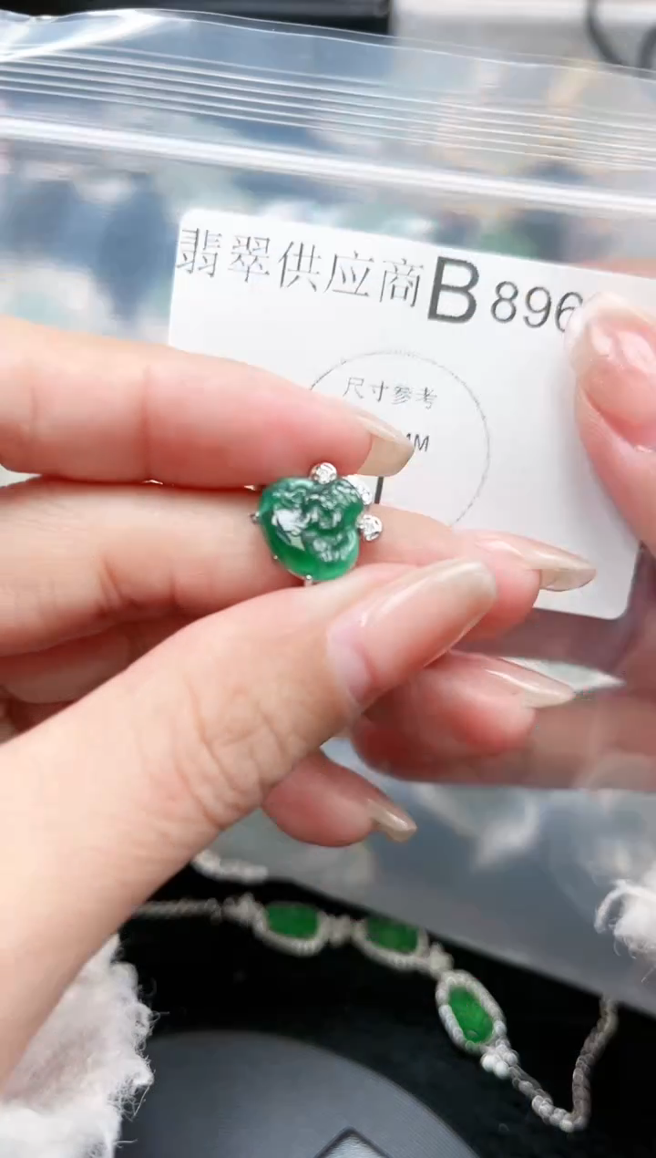【闪购商品】翡翠颈饰未镶嵌896赠皮绳