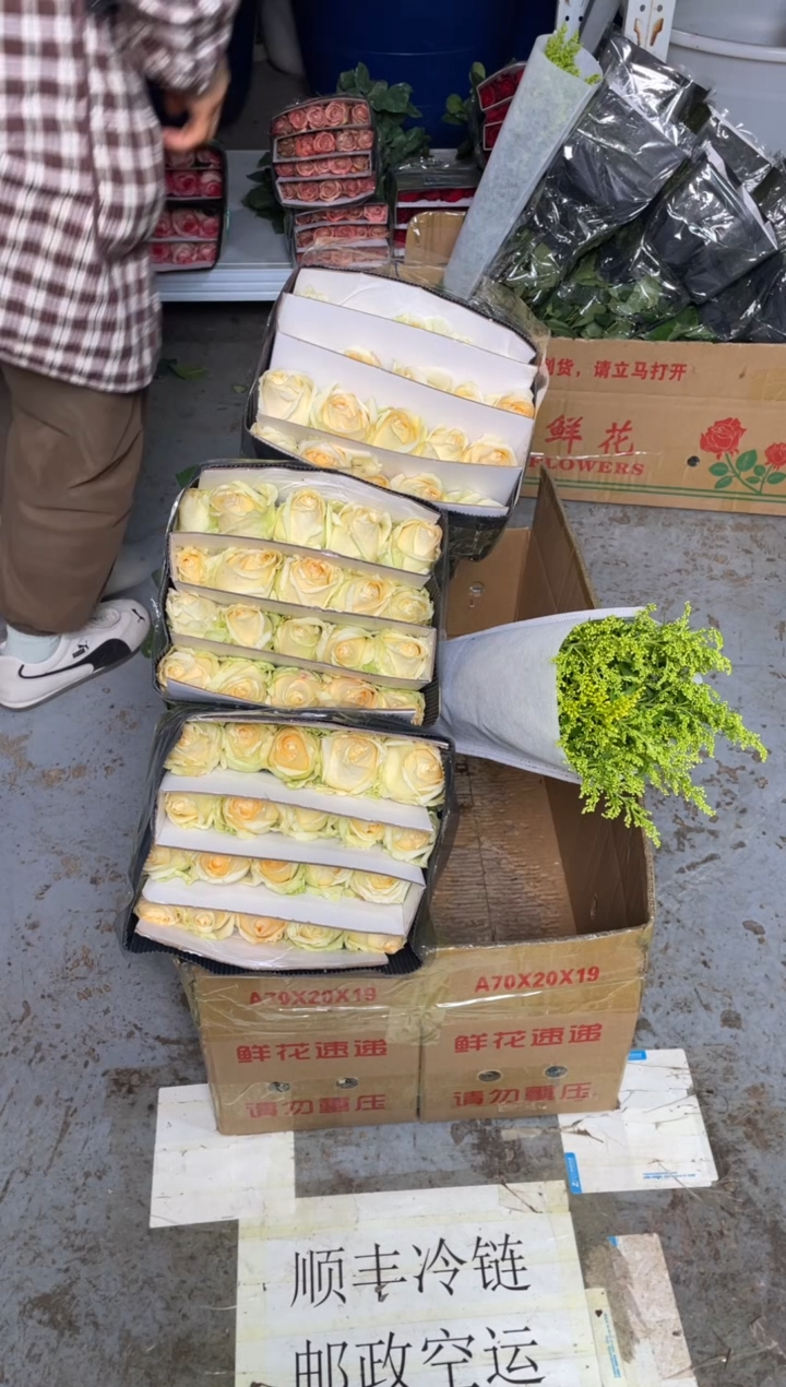 香槟3扎+黄莺        