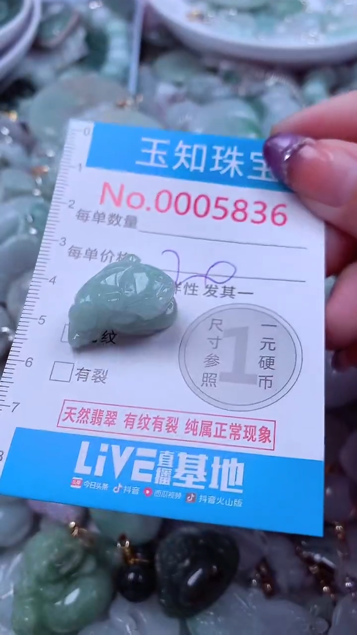 翡翠未镶嵌吊坠(不含链)5836