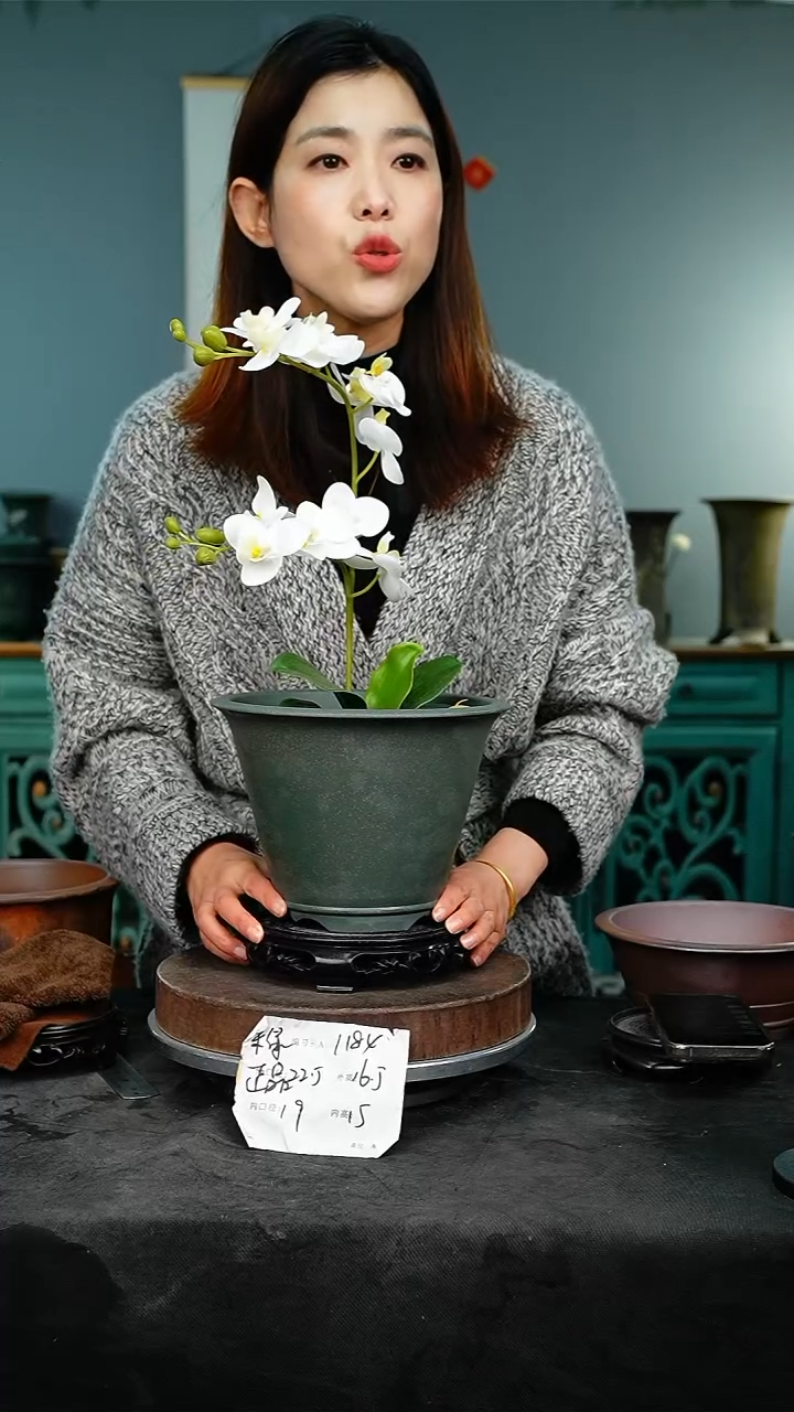 紫砂花盆1184+s紫砂花盆