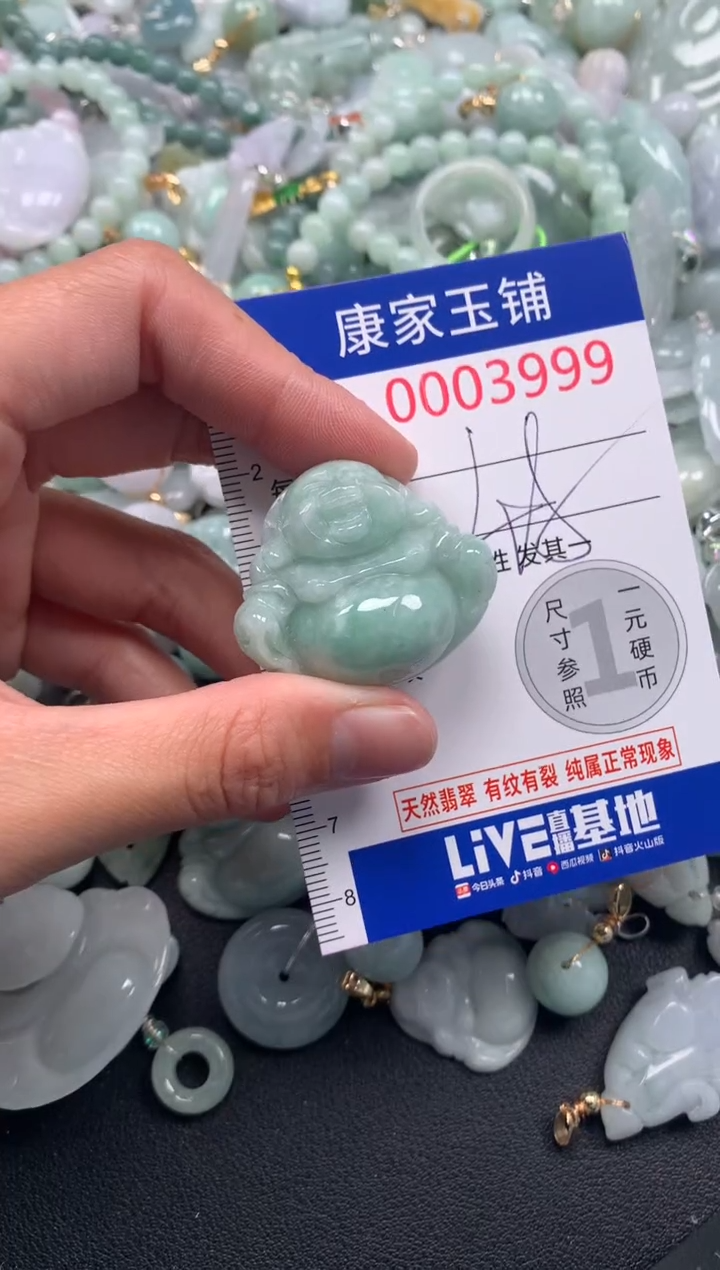 颈饰未镶嵌翡翠3999