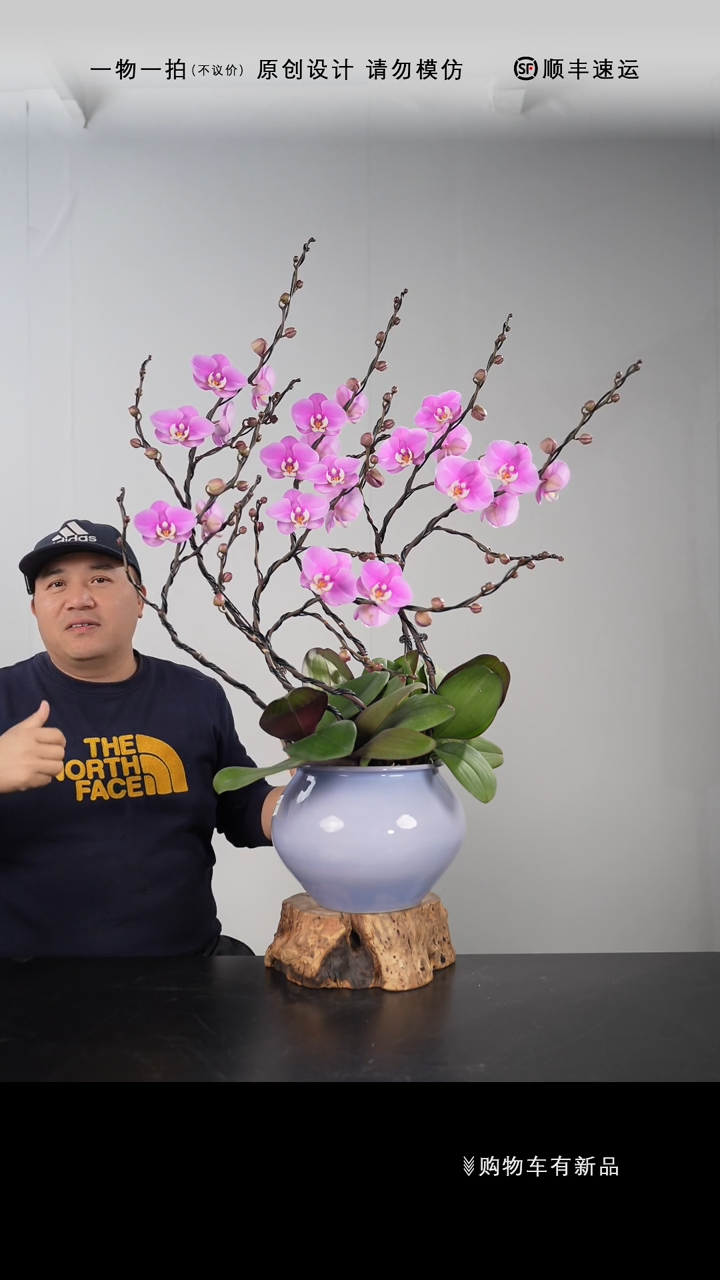 【闪购商品】055号链接【一物一拍】艺术盆景