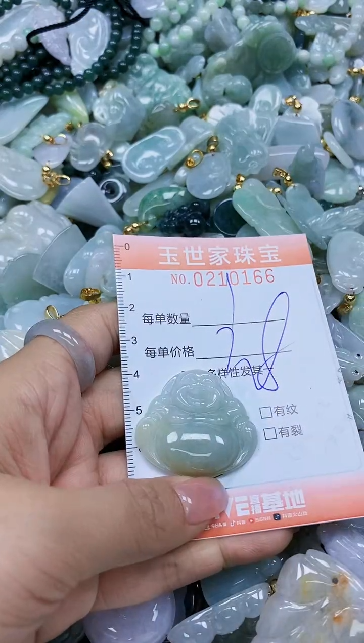 【闪购商品】翡翠颈饰未镶嵌闪购0210166