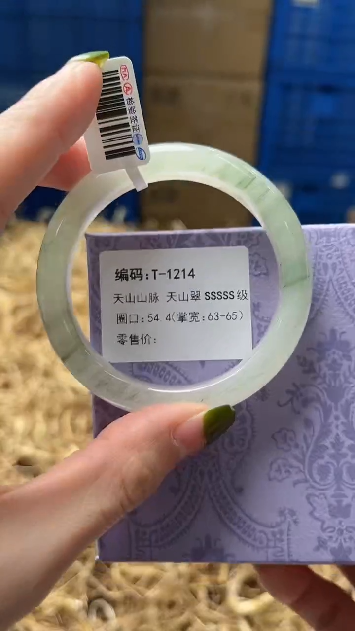 未镶嵌手镯石英质玉T1214