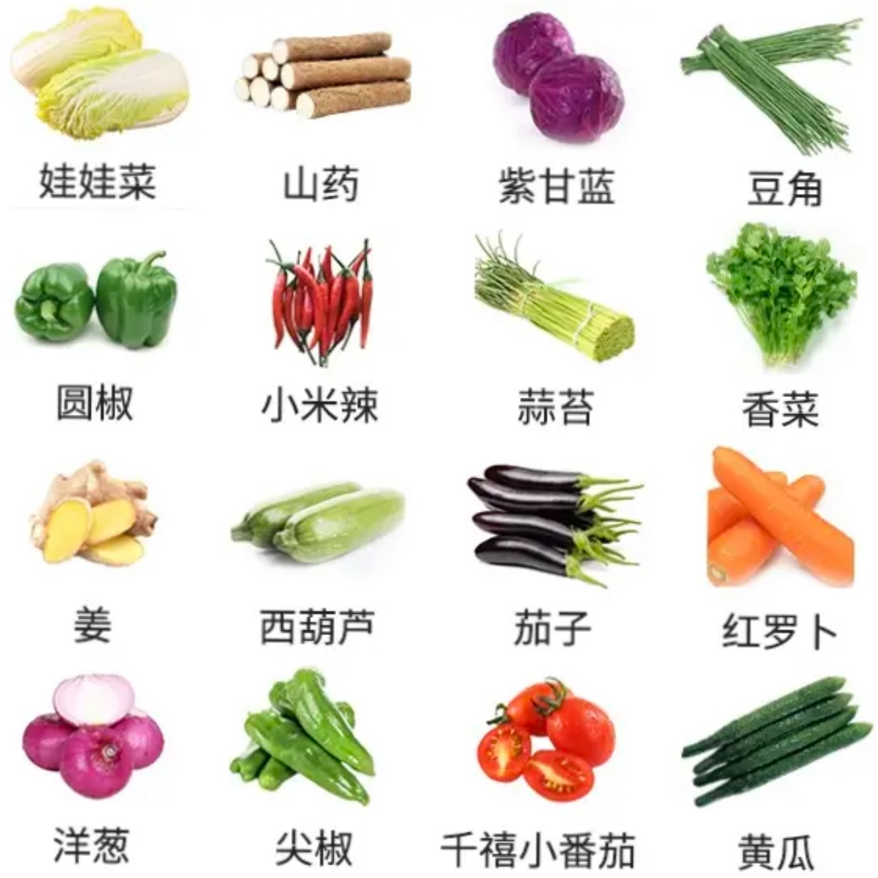 【顺丰包邮新鲜蔬菜】江西上饶农户蔬菜新鲜蔬菜赶集蔬菜生态种植