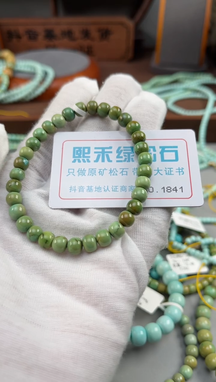 【闪购商品】绿松石松石未镶嵌1841