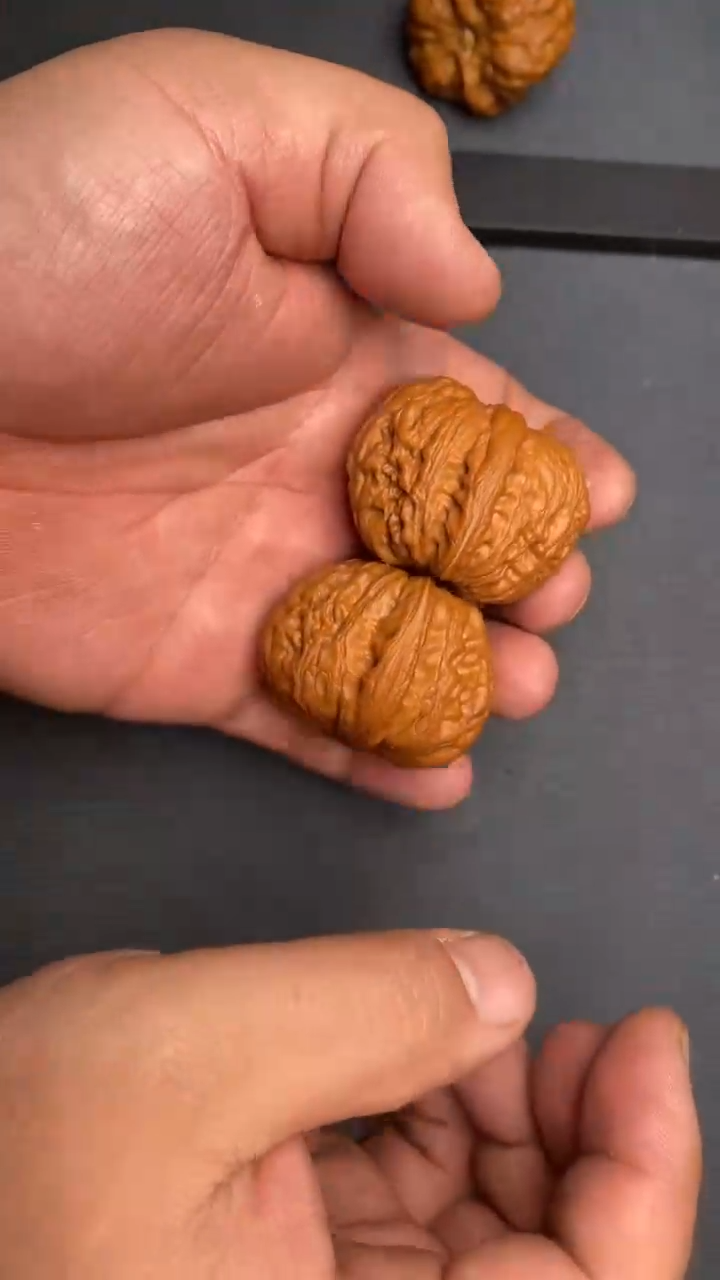 【闪购商品】文玩核桃把件元宝42左右（已打底）
