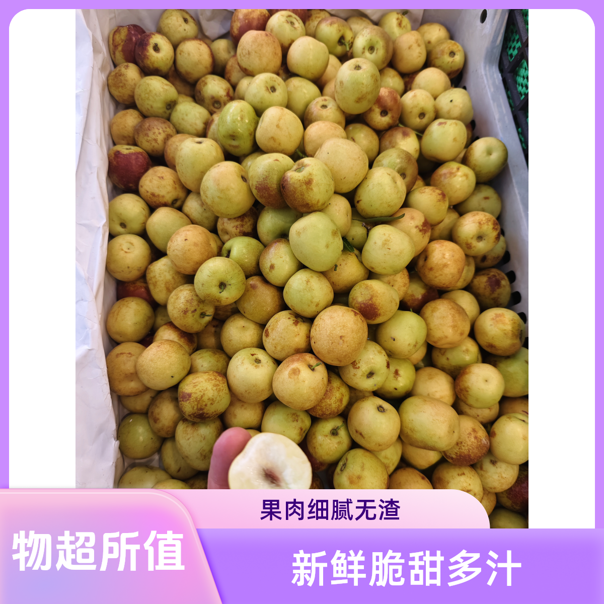 甜口核小散装冬枣