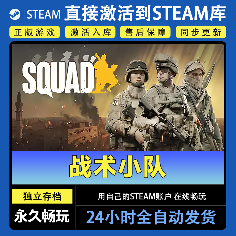 【steam游戏】战术小队激活码CDKey在线电脑游戏dlc全球入库