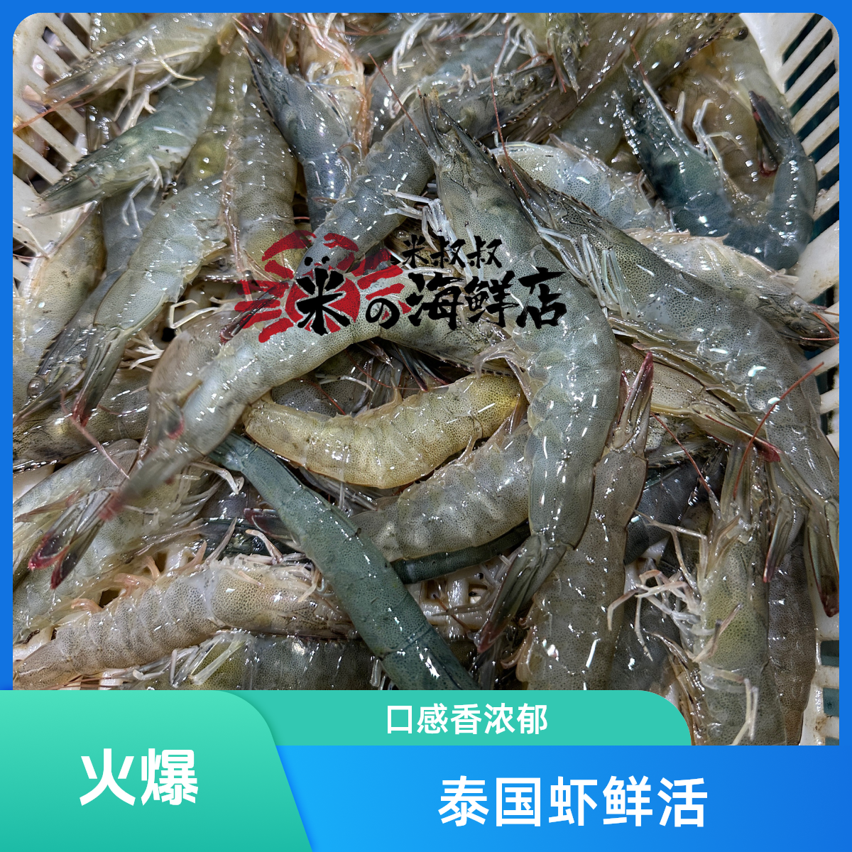 鲜活泰国虾 500g（虾香浓郁、入口生香）