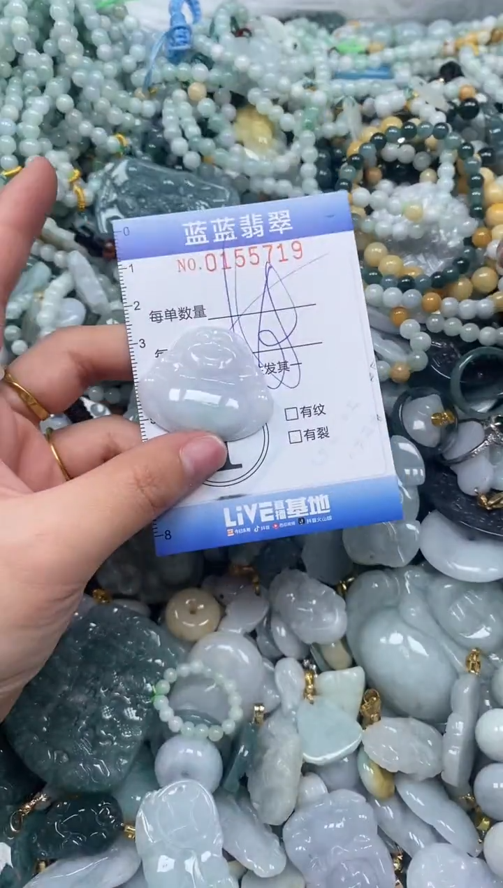 【闪购商品】翡翠颈饰未镶嵌闪购0155719