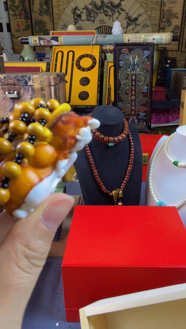 其他贝壳————————————-瓷