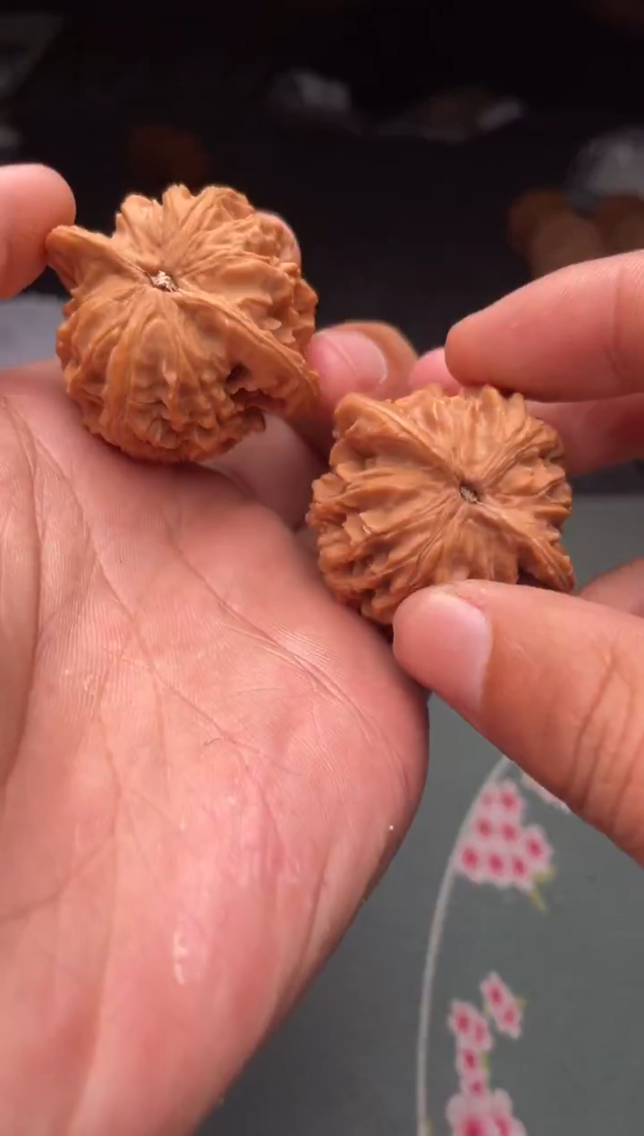 把件文玩核桃a293   盘龙纹   39尺