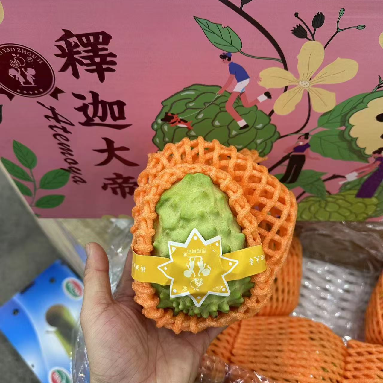 台湾释迦大帝 礼盒 7-8粒大果