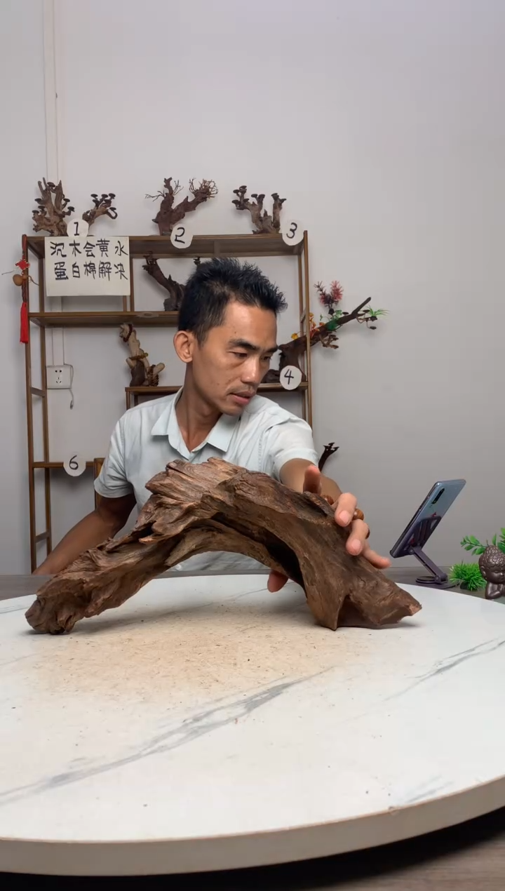 鱼*鱼缸造景沉木摆件