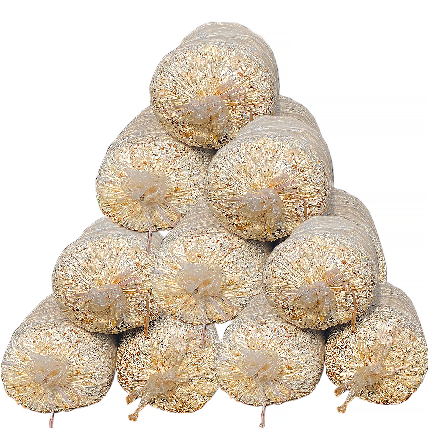 蘑菇平菇3千克*2个菌包23*50规格包邮不支持退货可食用