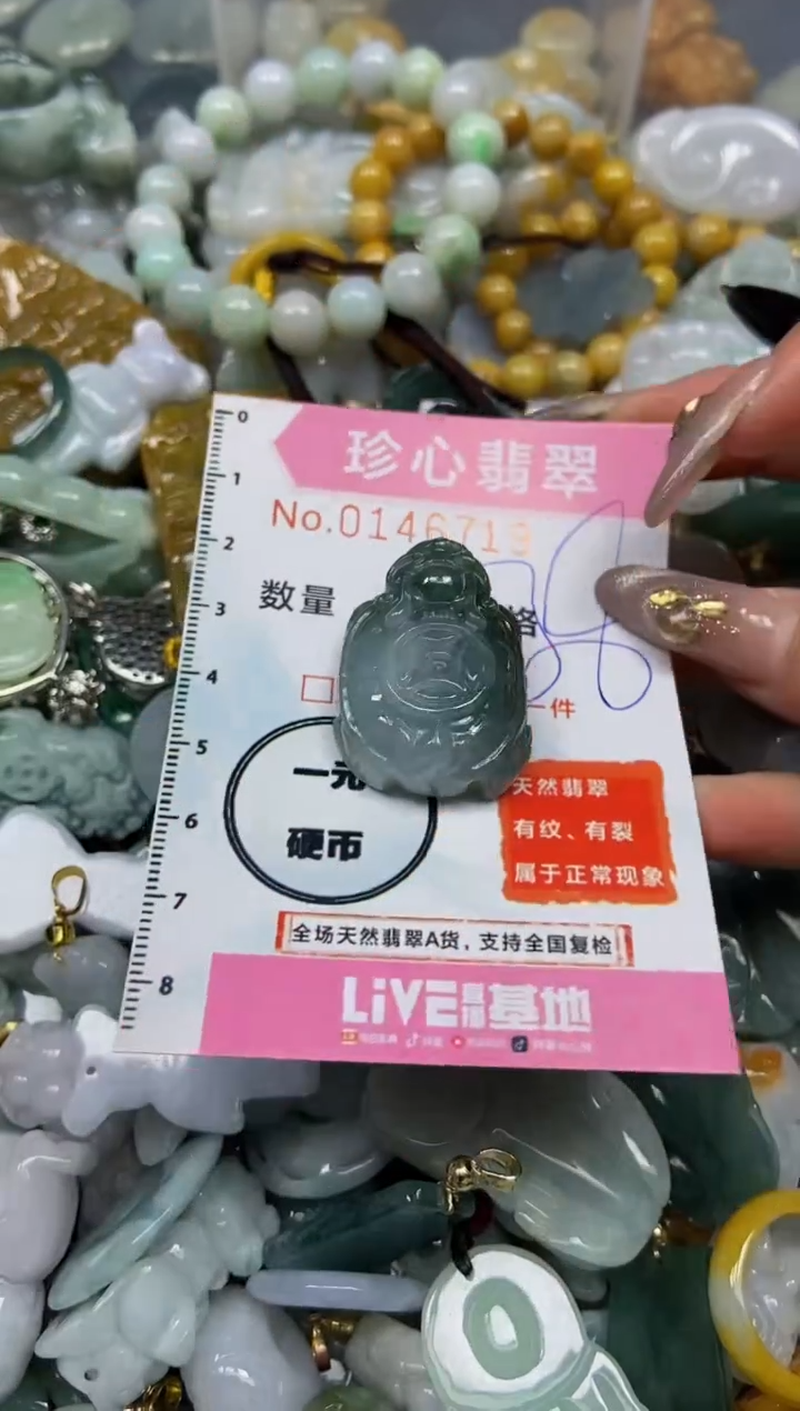 【闪购商品】翡翠颈饰未镶嵌闪购0146719