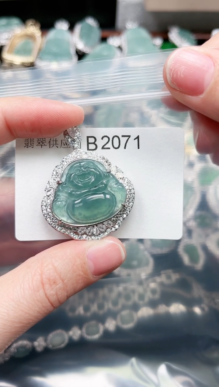 【闪购商品】翡翠颈饰未镶嵌赠皮绳2071