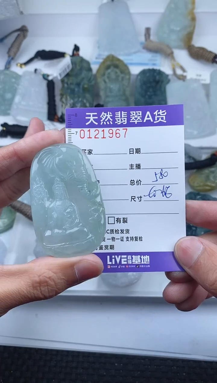 【闪购商品】翡翠颈饰未镶嵌       967