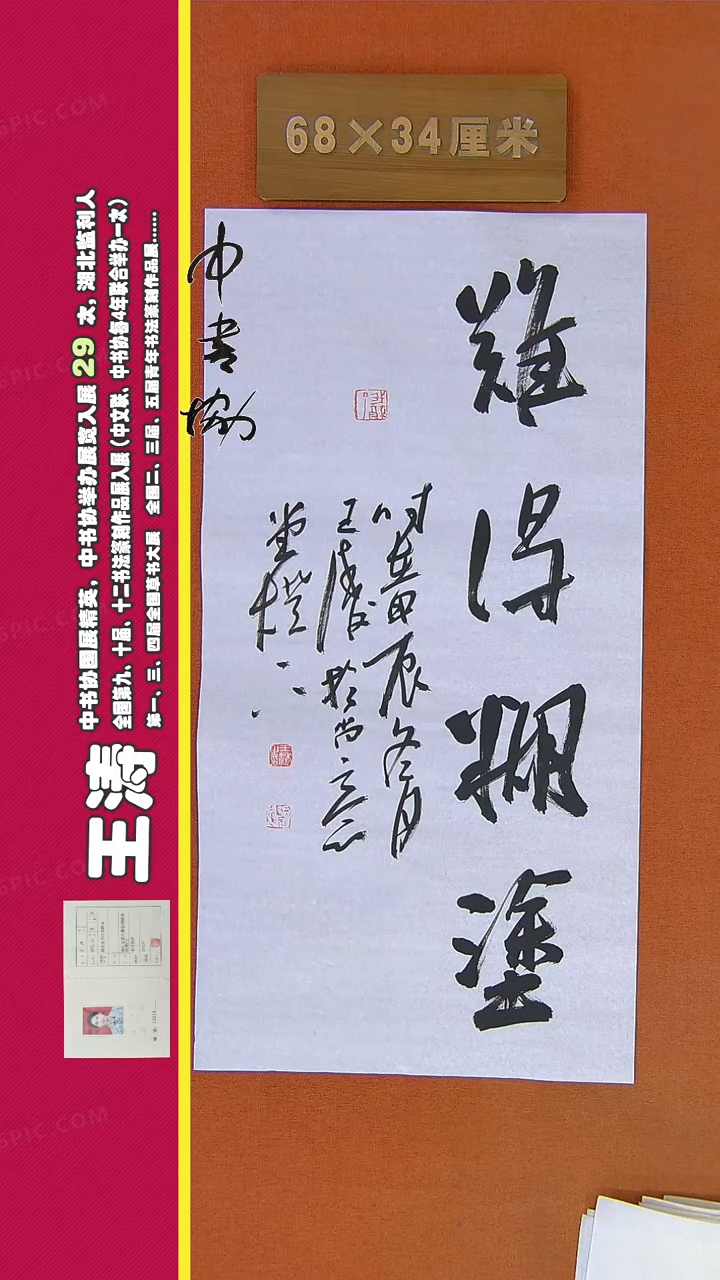 【闪购商品】书法187王涛书法作品
