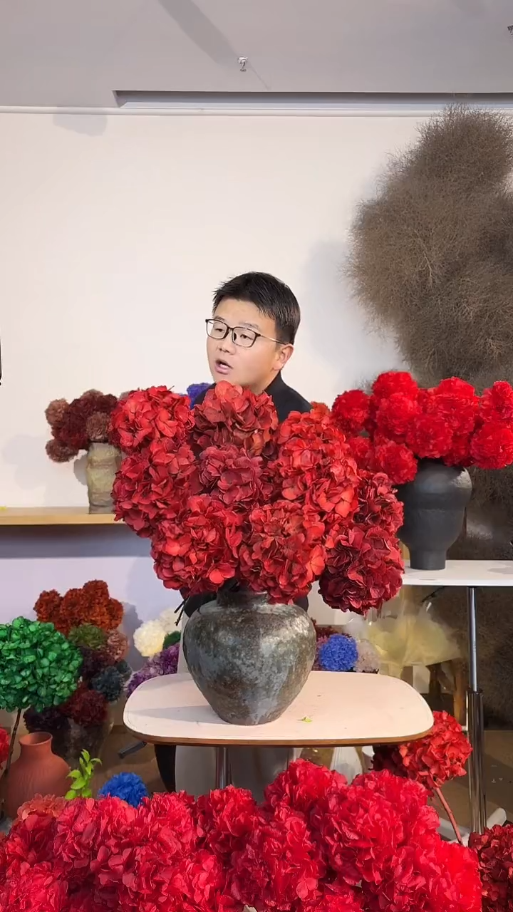 88  吸色永生大叶绣球花球10枝  红