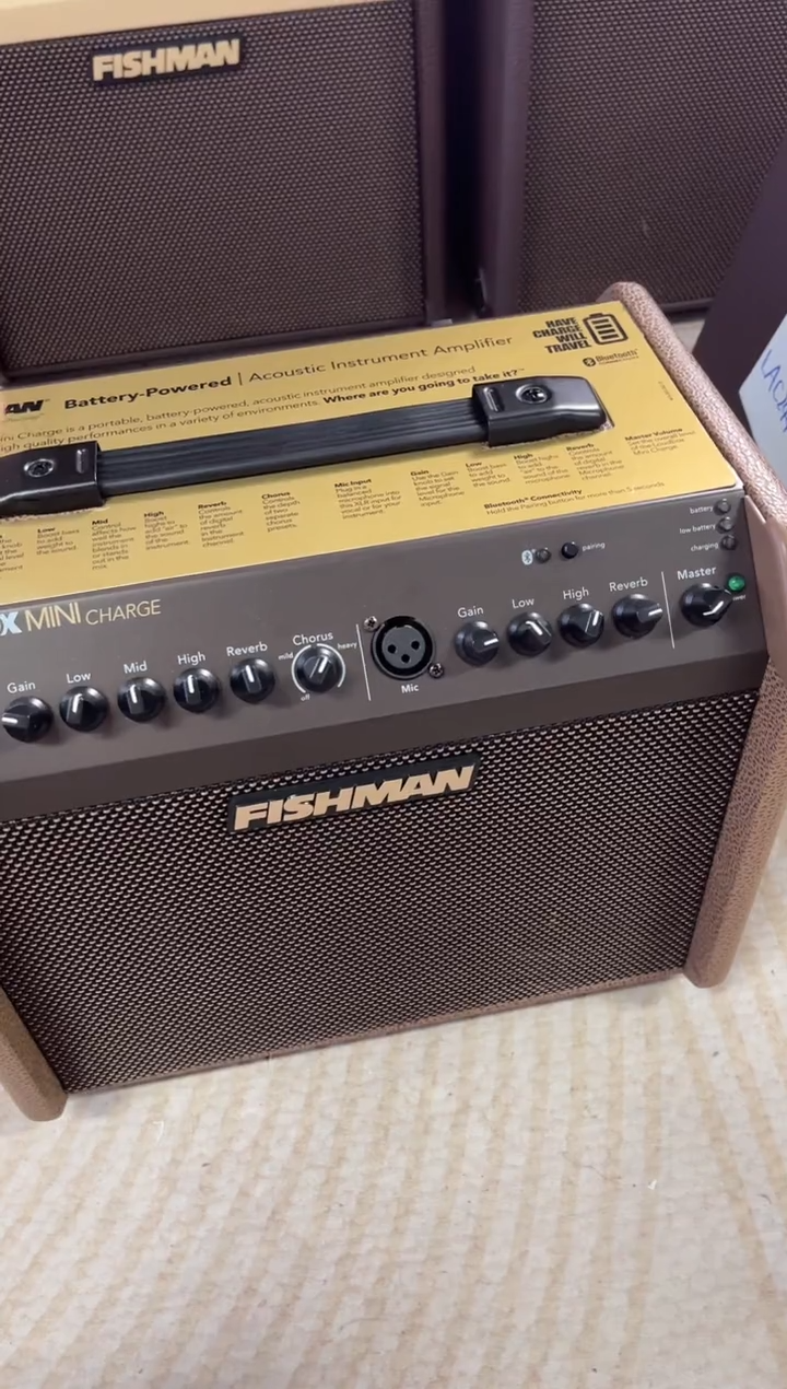 fishman60w展品 不支持退换 顺丰到付)  200      