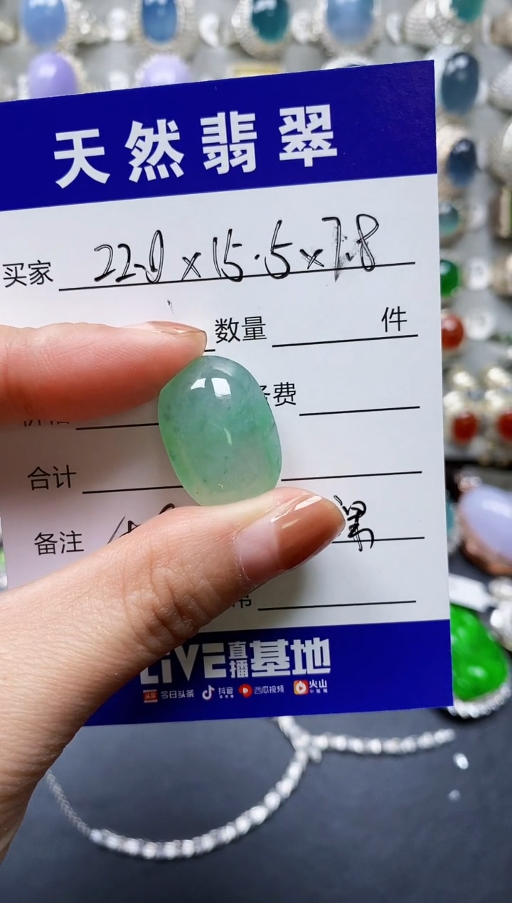 【闪购商品】翡翠颈饰未镶嵌00000429