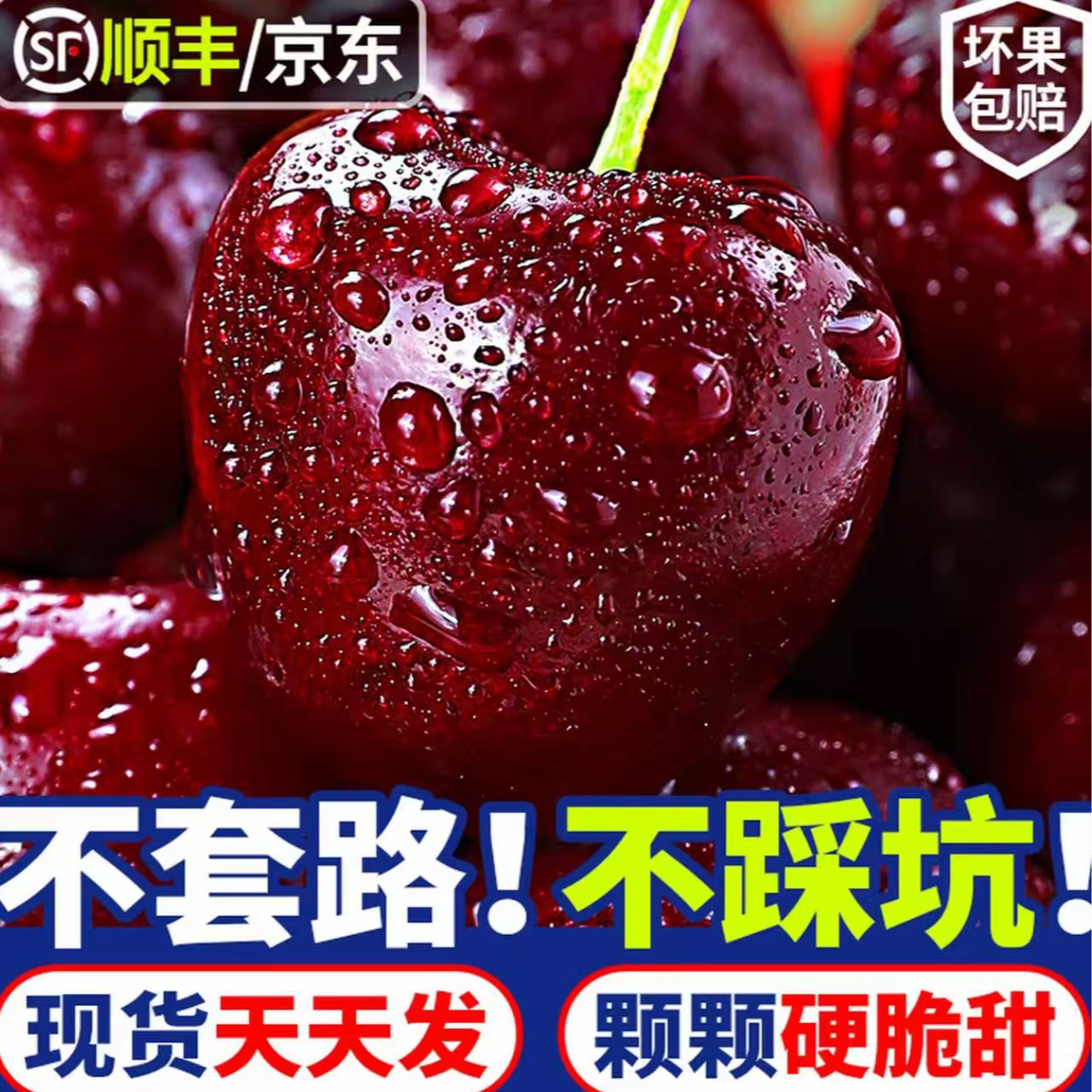 杜杜【桑提娜次日达】3JD果王空运车厘子新鲜水果宝宝孕妇水果DS内附果径卡2500g桑提娜樱桃智利共和国