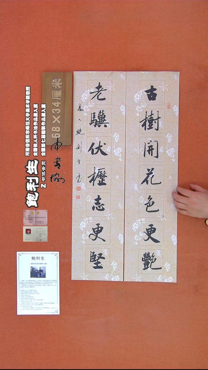 【闪购商品】书法308鲍利生书法作品