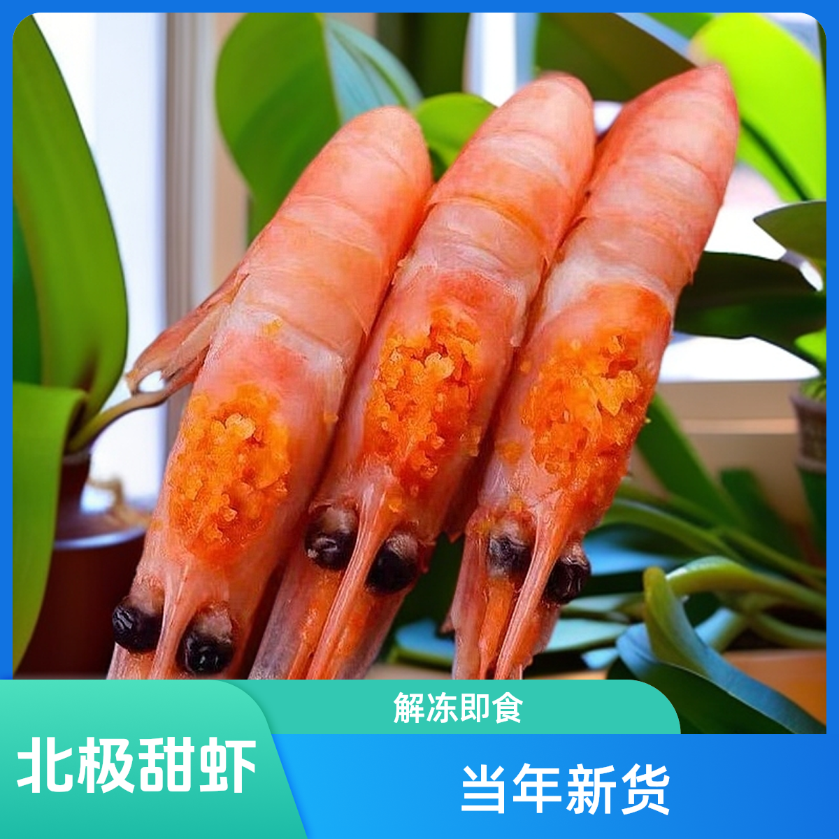北极甜虾80-100头籽3斤当年新货新鲜冰虾 解冻即食