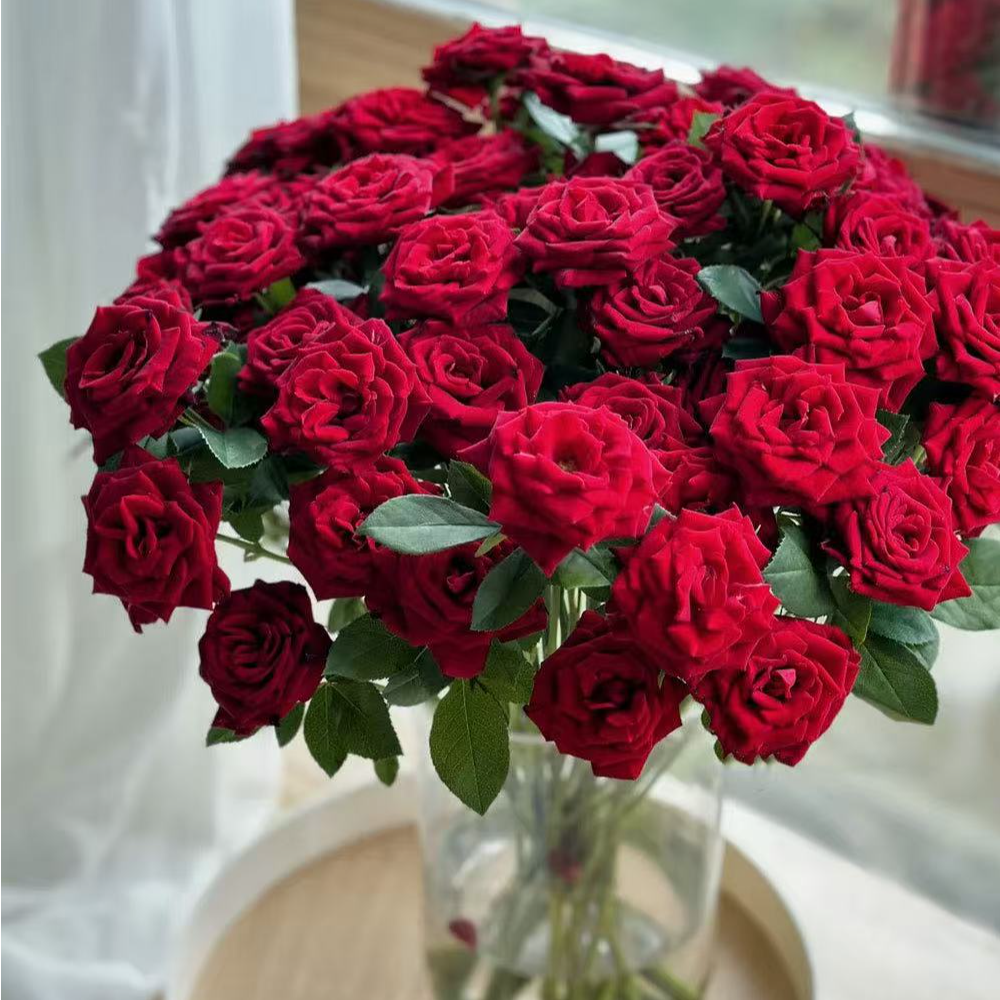 花無凡【赤玉多头玫瑰10支】云南品牌基地现采现发高品质玫瑰