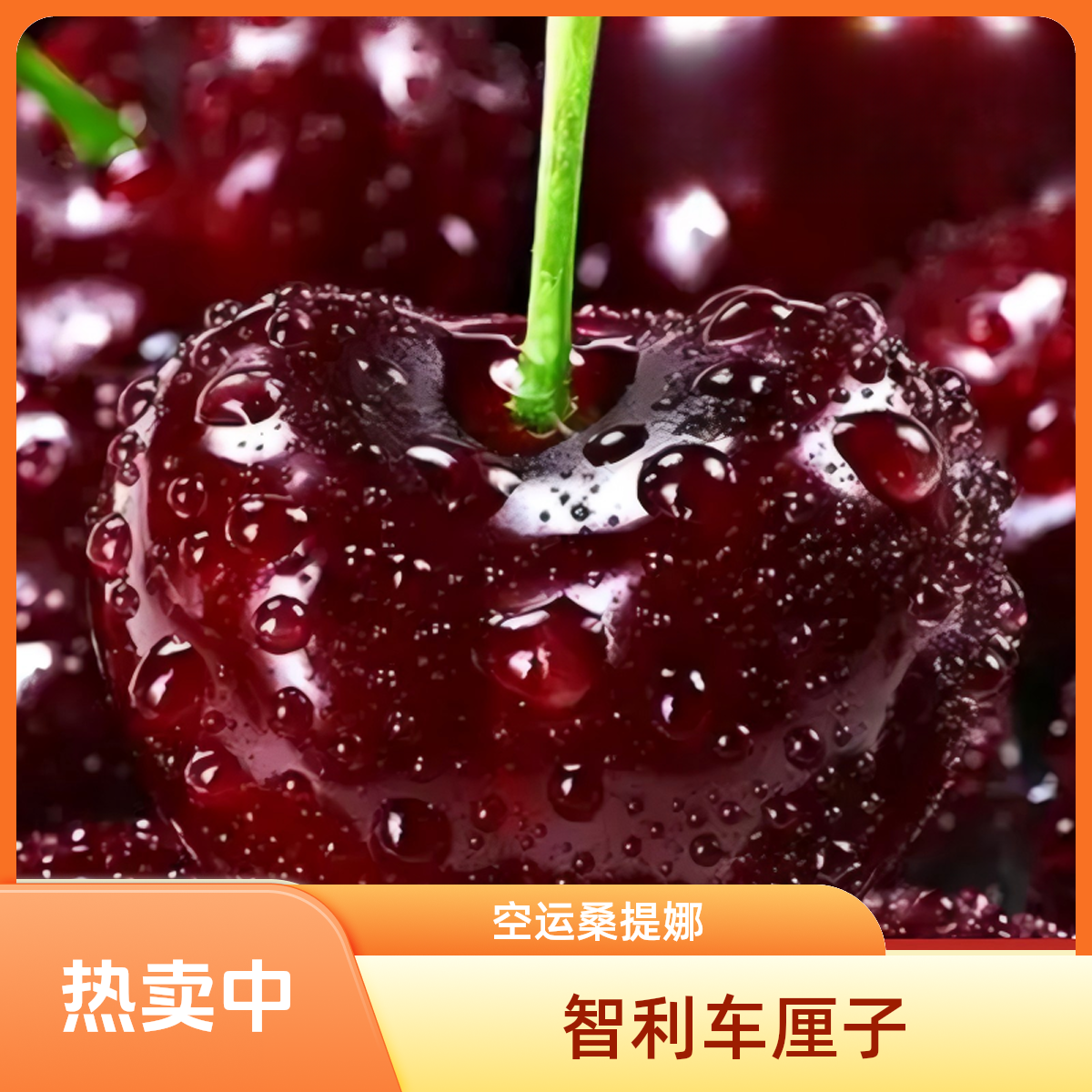 【YZJX】2-4JD智利车厘子空运进口桑提娜新鲜脆甜多汁内附果径卡