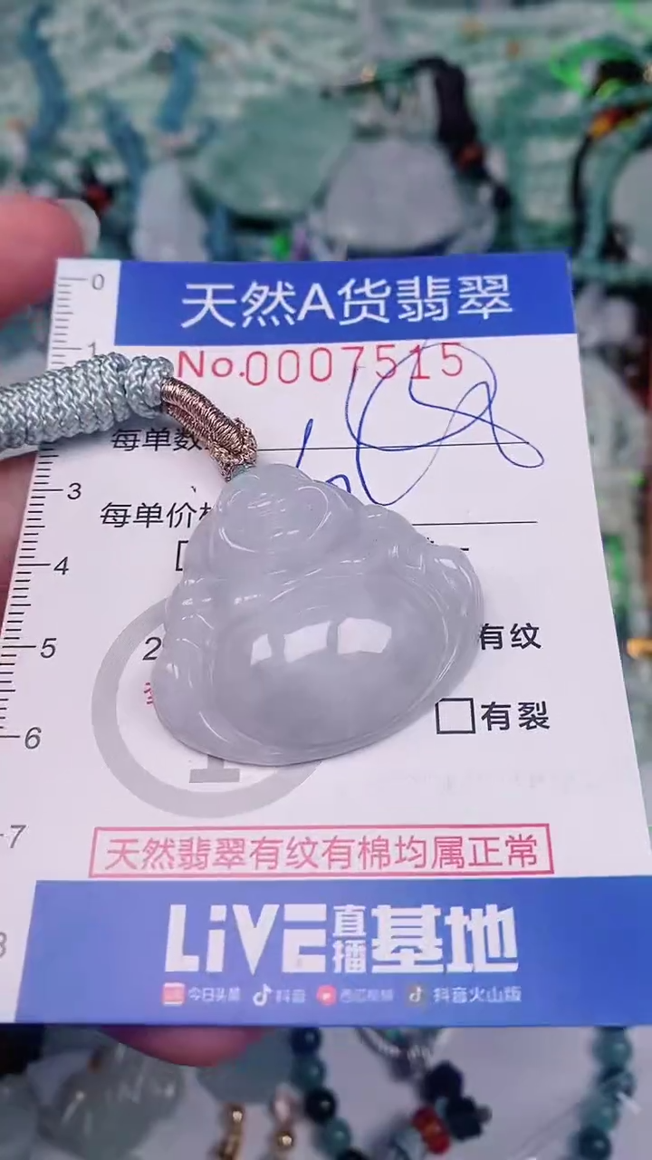 【闪购商品】翡翠颈饰未镶嵌00007515