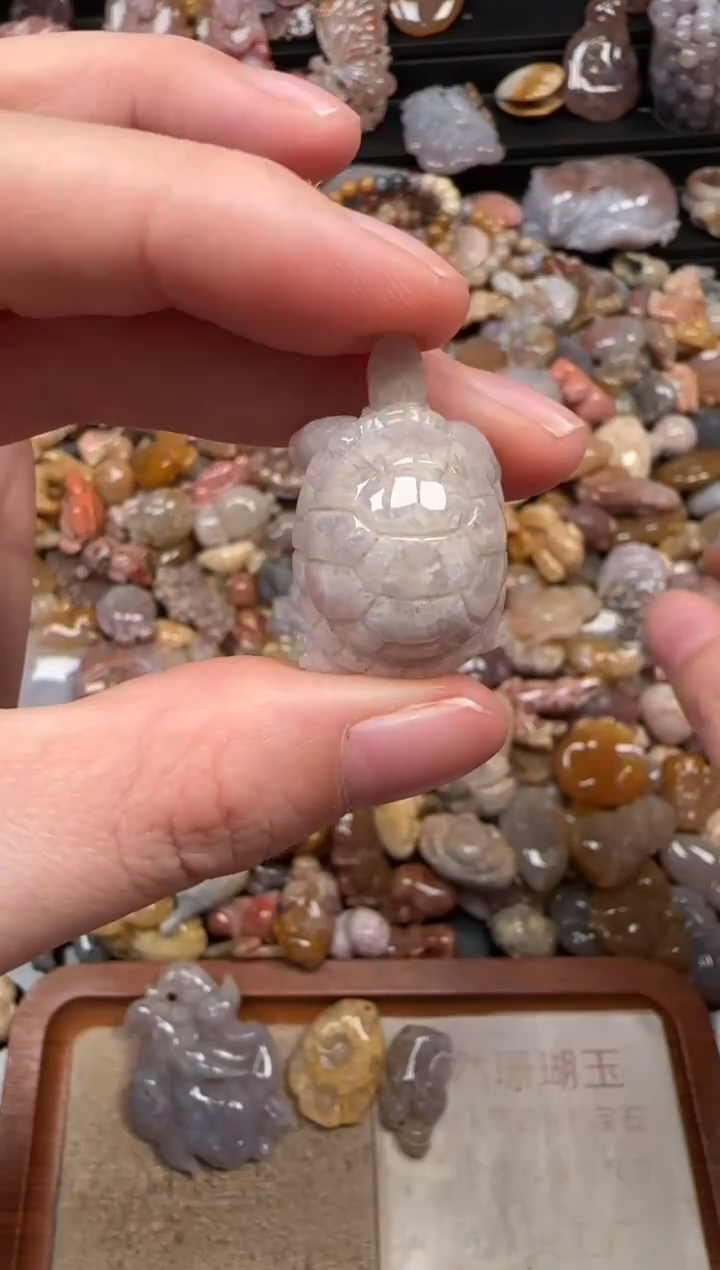 颈饰未镶嵌硅化珊瑚（珊瑚玉）696