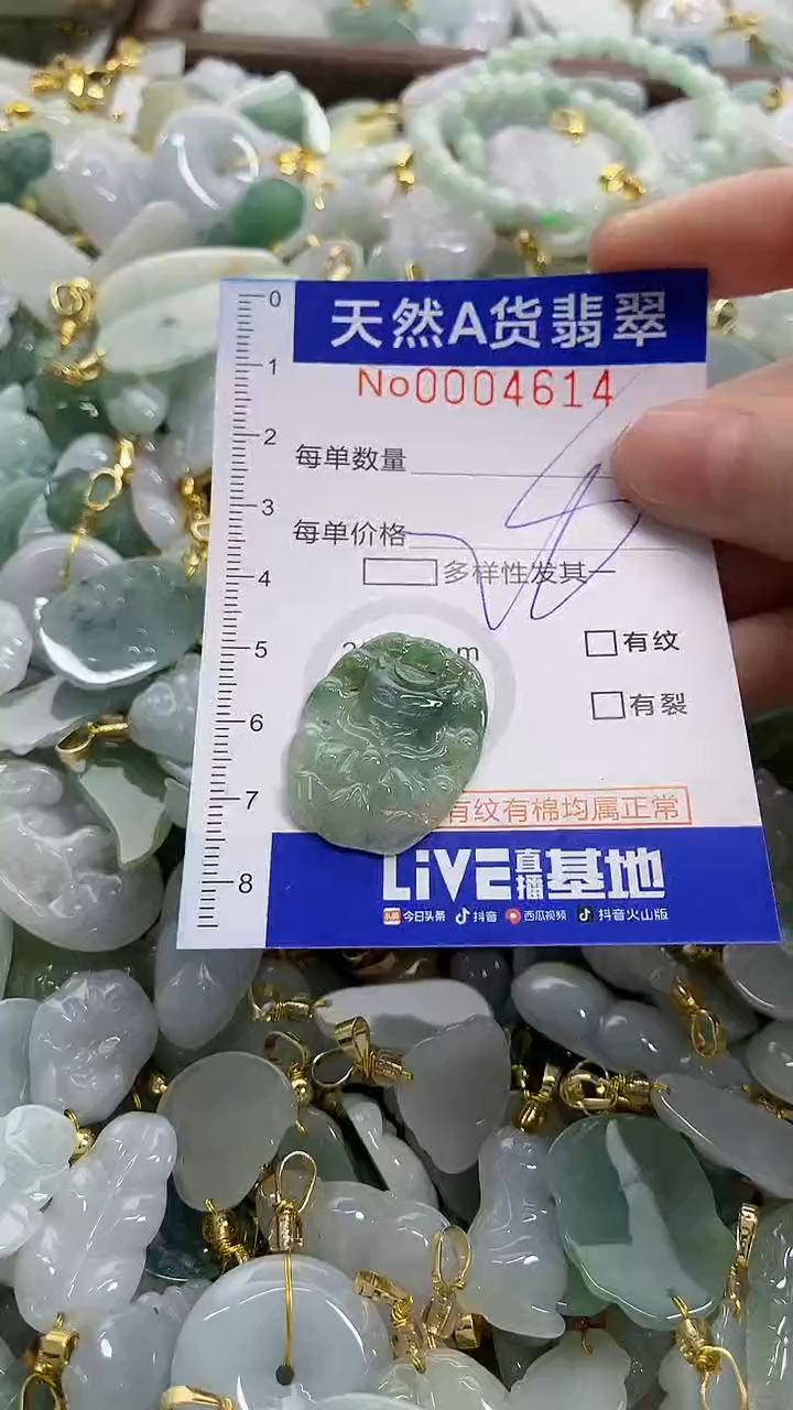 颈饰未镶嵌翡翠天然A货翡翠
