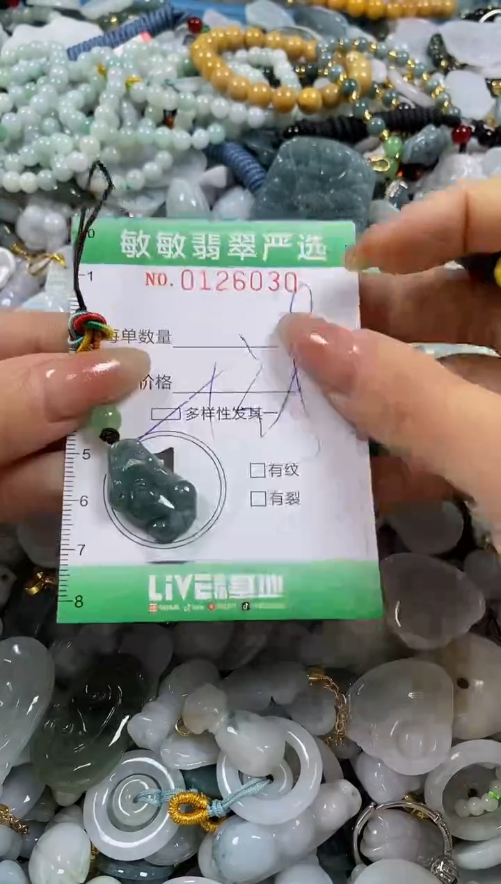 【闪购商品】翡翠颈饰未镶嵌闪购0126030多样性发其一