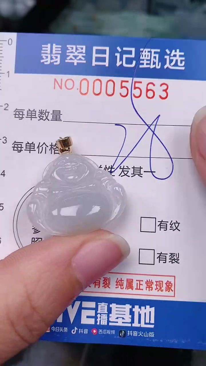 【闪购商品】翡翠颈饰未镶嵌00005563