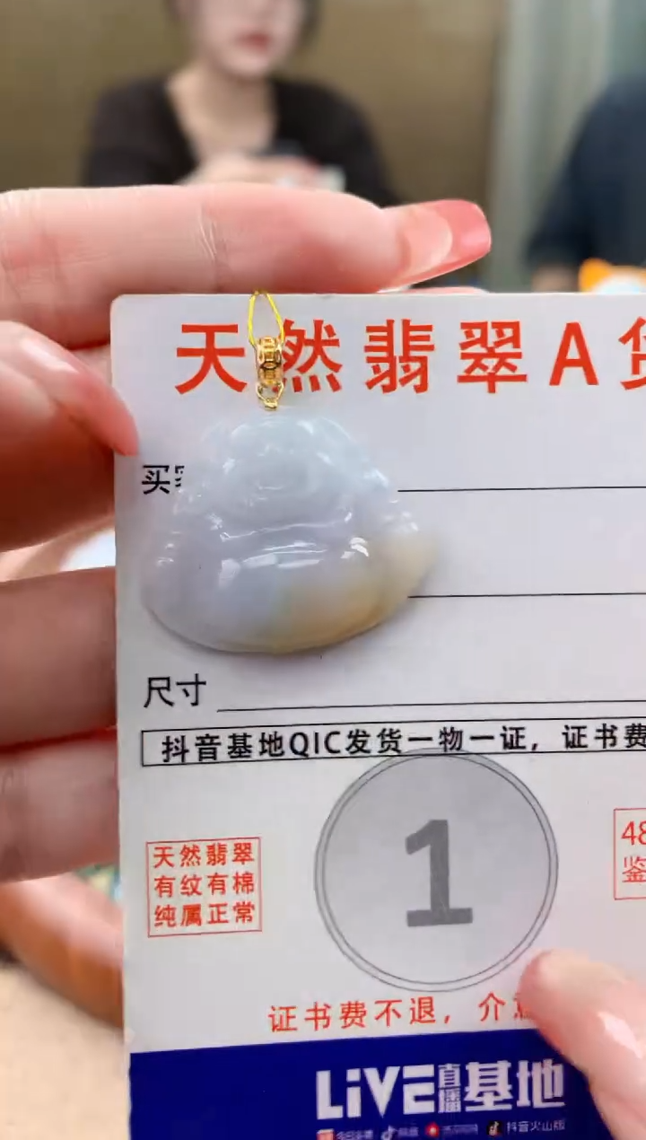 颈饰未镶嵌翡翠天然A货翡翠挂件