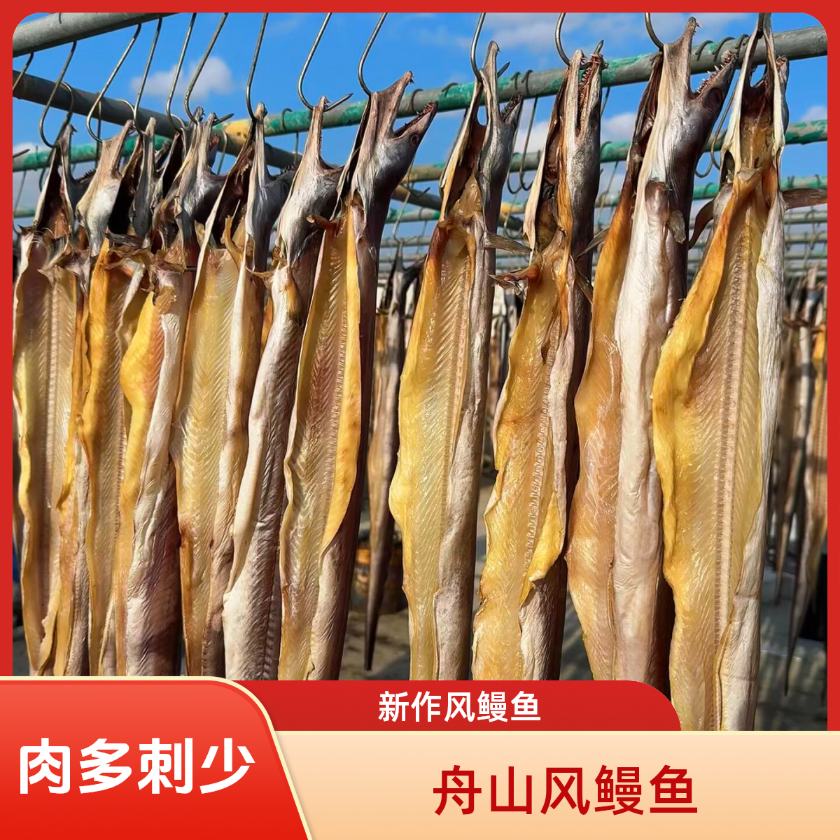 【特大风鳗鱼】舟山野生风鳗鱼筒海风干至6成干口感鲜嫩顺丰包邮