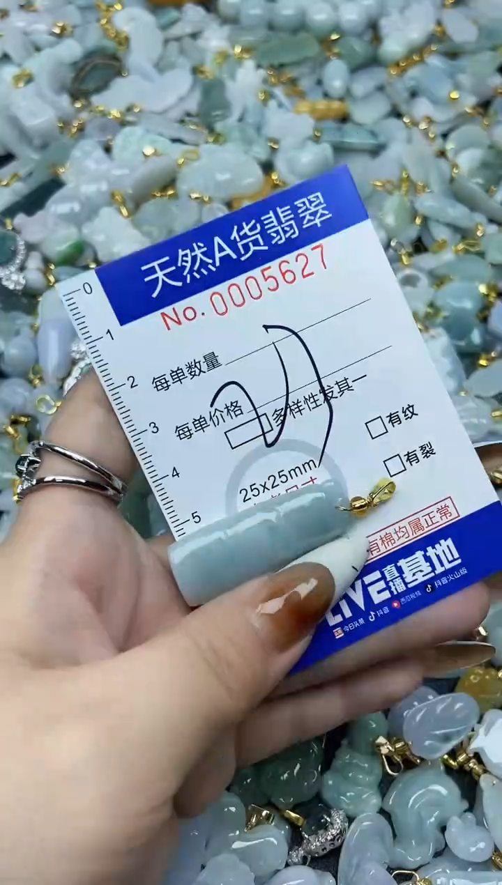 【闪购商品】翡翠颈饰未镶嵌天然A货翡翠