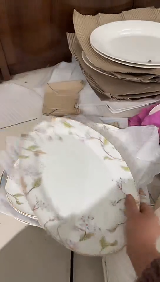 瓷14鱼盘隆达骨瓷