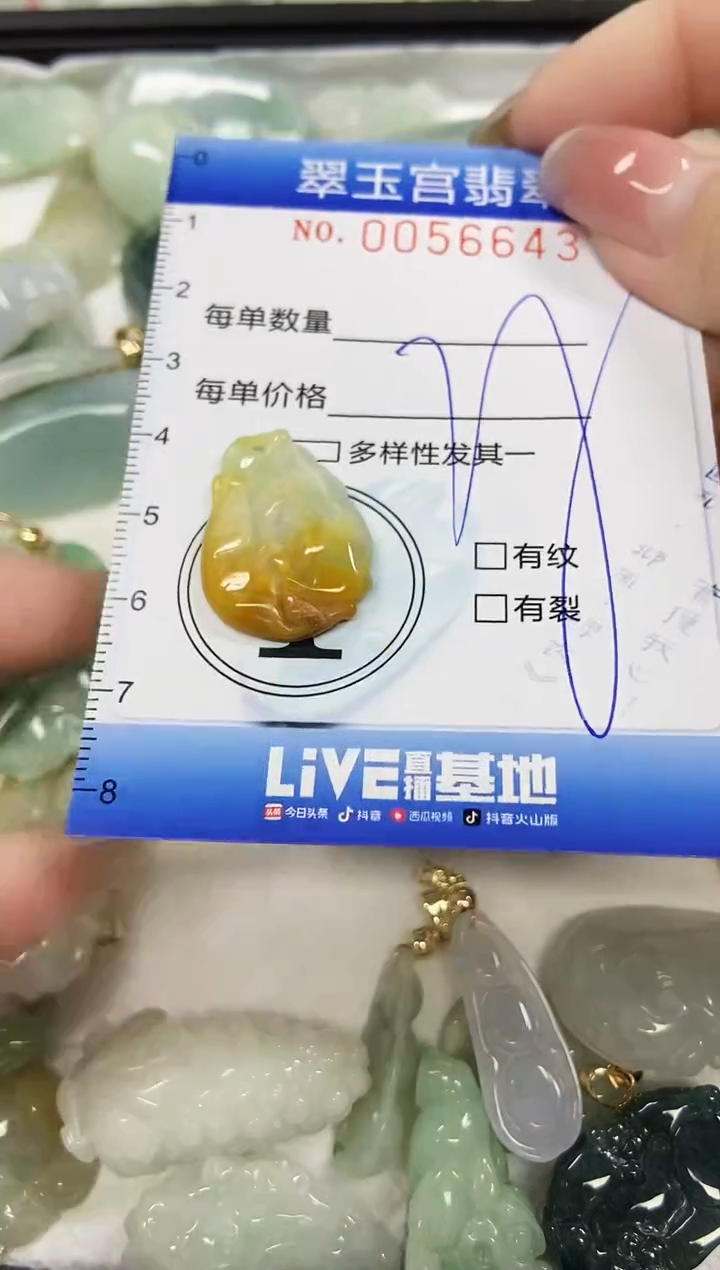 【闪购商品】翡翠颈饰未镶嵌闪购商品0056643